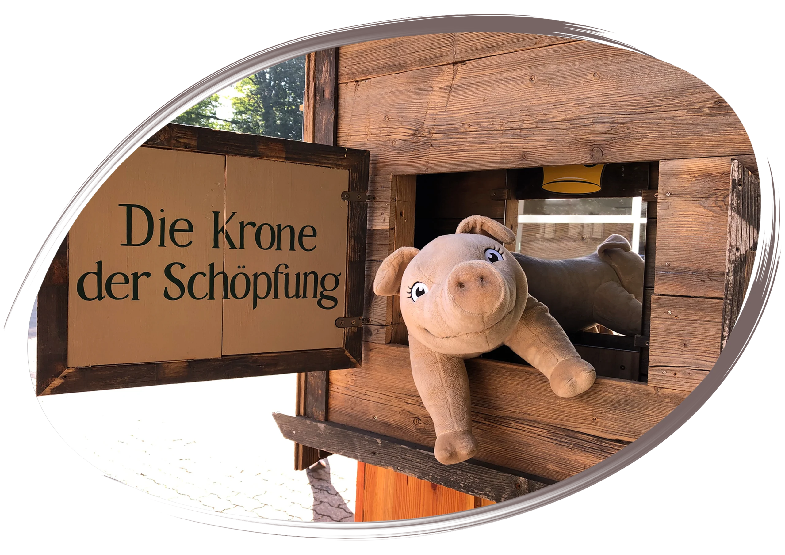 Die-Krone-der-Schweinchen-Schoepfung-